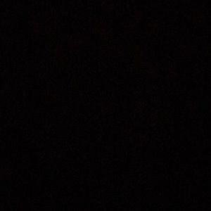 Meet your Posher, Danicka